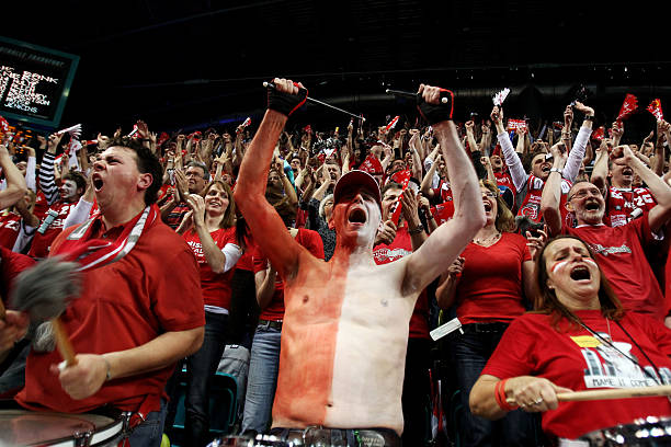 的竞技实力 的竞技实力